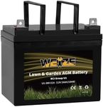 Weize Lawn & Garden AGM Battery, 12