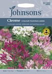 Johnsons 24464 Flower Seeds, CLEOME