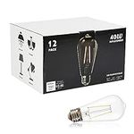 winsaLED 12 Pack LED Edison Bulbs 4