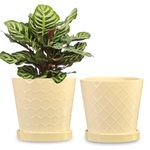 BUYMAX Plant Pots Indoor –6 inch Ceramic Flower Pot with Drainage Hole and Ceramic Tray - Gardening Home Desktop Office Windowsill Decoration Gift, Set of 2(Yellow)