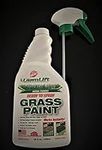Lawnlift Pre-Mixed Grass Paint 32 O