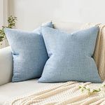 Blue Throw Pillows