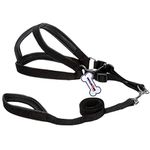 Thick Dog Harness