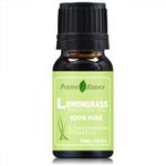 Lemongrass Essential Oil, 100% Pure and Natural, Therapeutic Grade, Organic Thai Lemongrass Oil for Diffuser or Skin Products, 10ml, Cymbopogon Citratus