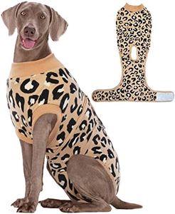 Kuoser Dog