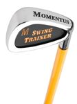 Momentus Golf IDL Stroke Putting Track Set