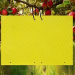 20-Pcs (25 * 20cm) Fruit Insect Fly Traps, Increase Fertilizer, Insect Sticky Trap for in/Outdoor, Greenhouse Vegetables, Lawn, Garden, Farm, Home, Horticulture & Agriculture, Orchard Fields (Yellow)