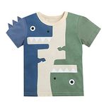 Hopscotch Boys Animal Print T-Shirt in Multi Color for Ages 2-3 Years