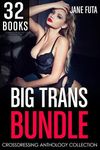 Big Trans Bundle: 32 BOOKS Transgender, Crossdressing, and Feminization Box Set Collection (Feminized Men and Transgender Women Romance Bundles)