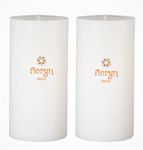 Floryn Decor® Paraffin Wax Pillar Candle (Set of 2, 3 X 6 Inch, White) | Dripless | Smokeless | Unscented | Burning time- 60 hrs | Hand Poured | Christmas Candle