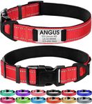 Joytale Personalized Dog Collars, Reflective Nylon Dog Collar with Engraved Name Plate, Customized for Medium Dogs, Red, M