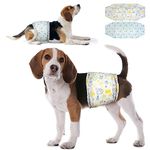 Dono Disposable Male Dog Diapers Dog Wraps Super Absorbent Soft Pet Diapers, Including Four Sizes, Extra Small, Small, Medium, Large, Diapers Wetness Indicator-48pcs (M-48 Count)