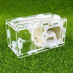 coinbuylot Small Ant Nest Farm Science Experiment Formicarium Insect Nest (White)