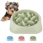 QUMENEY Dog Slow Feeder, Non-slip Puzzle Pet Slower Food Feeding Dishes, Durable Preventing Choking Fun Dog Bowl for Small and Medium Sized Dogs (GREEN)