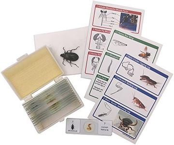 WhizKidsLab 12 Prepared Insect Bug Parts Microscope Slides Set Real Beetle Specimen Postcards STEM Science Kit