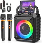 JYX Karaoke Machine with Two Wirele