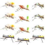 Trout Fly Assortment - Foam Body High Visibility Grasshopper Dry Fly Collection - 1 Dozen Flies - Hook Size 10 - Fly Fishing Hopper Dropper