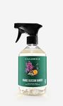 Caldrea Multi-surface Countertop Spray Cleaner, made with birch bark, Orange Peel and Ylang Ylang flower essential oils, a special vegetable protein extract, Orange Blossom Bamboo scent, 16 oz