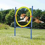 PET MOMENT Dogs Outdoor Games Agility Exercise Training Equipment Agility Starter Kit Jump Hoop Hurdle Bar