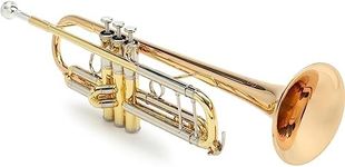 Yamaha YTR-8335II Xeno Professional