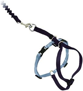 PetSafe Co