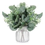 Weldomcor 24 Pcs Artificial Seeded Eucalyptus Silver Dollar Leaves Fake Plants Stems Artificial Branches Greenery Foliage Plants for Garland Decorations Garden Wedding