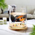 SANOSY Aquarium Starter Kits 0.81-G