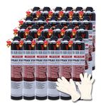 Vega Foam Fire Block Spray Foam Insulation Kit. Closed Cell Foam Thermal and Sound Insulation. (24 Cans)