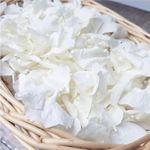 Real Dried Ivory White Hydrangea Flower Petals - 1.06 oz Natural Preserved Petals for Wedding, Party Confetti, Valentine's Day, Flower Girl Baskets, Romantic Night, Proposal Decor, Handcrafts