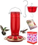 iBorn Glass Hummingbird Feeder for 