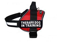 Therapy Dog in Training Nylon Dog Vest Harness. Purchase Comes with 2 Reflective Therapy Dog in Training Removable Patches. Please Measure Your Dog Before Ordering (Girth 28-38", Red)