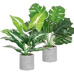 Dremisland 2Pack Artificial Potted Plant 16" Tall Faux Monstera Potted Plants with Gray Pot Fake Greenery Plants Decor for Home Office Table Desk Living Room Shelves Bathroom (Taro and Monstera)