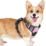 rabbitgoo Dog Harness Small Dog with Neck Release Buckle, Adjustable Anti Pull Dog Harness, Soft Padded with Front Back Clips and Easy Control Handle, Reflective Dog Vest Harness, Pink, S