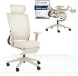 FLEXISPOT Foldex Ergonomic Office C