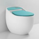 B Backline Ceramic One Piece Siphonic Rimless Western Toilet/Commode for Toilet/Water Closet/Commode With Soft Close Toilet Seat - S Trap Outlet (White and Aqua Green)