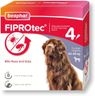 Beaphar | FIPROtec® Spot-On for Extra Large Dogs (40–60kg) | Kills Fleas & Ticks | Vet Strength Treatment | 4 Pipettes