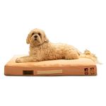 PETTER WORLD All Weather Micro Fur Orthopedic Mattress Bed for Dogs & Cats with Memory Foam Base for Pressure Relief and Calming Effect (Peach Pearl) (Medium (31"X21"X3.5"))