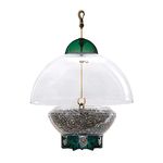 Droll Yankees, Inc Yankee BTG Green Big Top Wild Bird Feeder