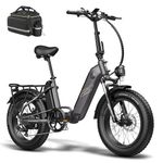 Fafrees FF20 Polar Folding Electric Bike, 998Wh Dual Battery, 140km Range, 20x4.0 INCHES Fat Tyres, Pedal Assist EBike for Audlts (Gray)