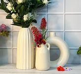 Praahi Lifestyle Premium Ceramic Off White Vases Set of 3, Ceramic flower Pot and vase for Modern Home Decor, Living Room, Bedroom, Dining Table |10" Ribbed Vase, 9" Donut Vase, 7" Milkjar Vase