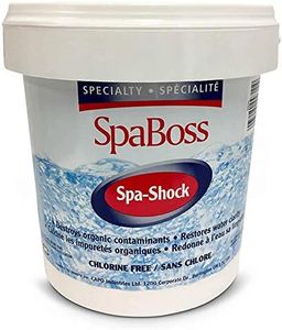 SpaBoss Sp