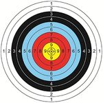 30Pcs Archery Targets Paper with Score Numbers Arrow Targets for Air-Soft, BB Guns, Air Rifles Shooting Practice, Enthusiasts Beginner, 15.6x15.6inch