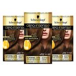 Schwarzkopf Oleo Intense Brown Hair Dye, 3-Pack Permanent Oil Colour, No Ammonia, Covers Greys, Gold Brown 4-60