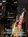 New York City's 5th Avenue at Night
