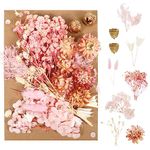 Opopark Natural Dried Flowers Pressed Flowers Real Dried Pressed Flowers and Leaves Dried Flowers Set for Scrapbooking DIY Candle Resin Jewelry Crafts