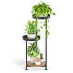 KAZITOO 3 Tier Metal Plant Stands Indoor Outdoor, 77cm Corner Plant Holder Plant Shelf for Flower Pots, Modern Display Rack with Wooden Plate for Living Room Office Garden Balcony Patio