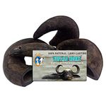 4 Pack of Buffalo Hornz Small Long Lasting 100% Natural Water Buffalo Horn Dog Chews