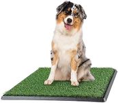 PETMAKER Artificial Grass Bathroom Mat for Puppies and Small Pets- Portable Potty Trainer for Indoor and Outdoor Use by - Puppy Essentials, 20" x 25\