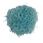 Huefiller Shredded Paper for Packaging | Used as Box Filler, Paper Filler, Paper Grass | Turquoise Blue (1 kg (1000 Grams))