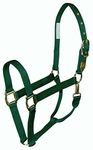 Hamilton 1-Inch Nylon Horse Halter with Throat Snap, Average, Dark Green